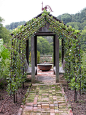 Espalier tunnel, photo: Justin Stelter. - this would be an amazing way to keep an orchard. I could see this being very long! Olives, apples, oranges, lemons, limes, pears oh my!