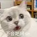 悄咪咪摸会儿鱼