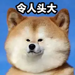 狗子表情包 - 小红书