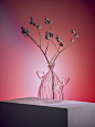 Da Vetro: A Collection of Glass Vessels Inspired by Gestures and Postures : Designed by Fabrica Research Center in Italy for PLEASE DO NOT ENTER, Da Vetro is a limited edition glass collection of vases, carafes and containers that are inspired by human ge