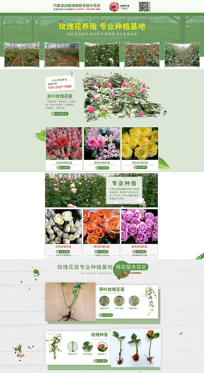 巧家县白鹤滩镇移花接木花店-首页