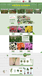 巧家县白鹤滩镇移花接木花店-首页