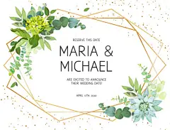 图源免费EPS |水平植物向量设计框架