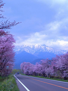 （無缘）采集到路