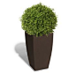 Algreen Square Stone Pot Planter Color: Brownstone