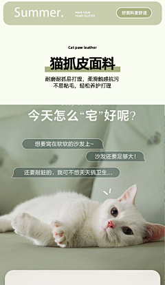 猫十五TAT采集到室内装修