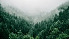 电脑壁纸