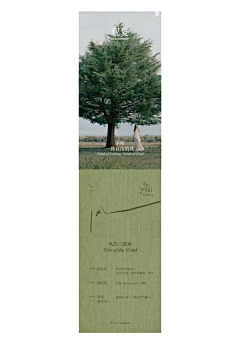 toughchoco采集到板块板式