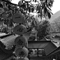 来自相册