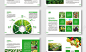 绿色大气农产品画册产品画册蔬菜产品农业画册宣传册图片下载 - 觅知网