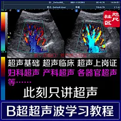 B超超声波学习视频教程彩超产科妇科临床诊断学习超声上岗证培训