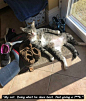 晚河
我的猫，做着他最擅长的事：不给日