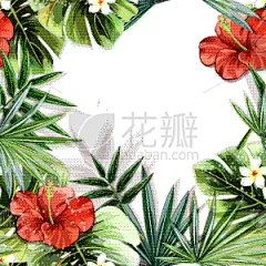 四方连续纹样,热带的花,复叶,干酪藤,壁纸,植物群,植物,背景,花,绘制