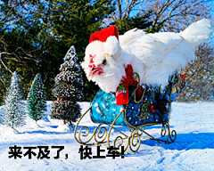 77 张鸡表情包祝你鸡年大吉吧！ : 　　鸡年斗图，怎能没有一套鸡表情包？不多说，上图！ 　　1. 怼鸡系列：新年怼人就用它了！ 　　 　　 　　 　　 　　 　　 　　 　　 　　 　　 　　 　　 　　 　　 　　 　　 　　 　　 　　 　　 　　 　　 　　