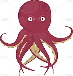 触须,分离着色,章鱼,海洋生命,可爱的,清新,野生动物,食品,自然美,烹调