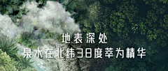 lIiilIii采集到牛驼温泉孔雀城