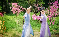 舒畅《龙珠传奇之无间道》唯美剧照桌面壁纸