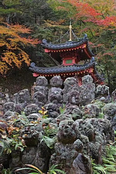 治部少辅采集到中式建筑
