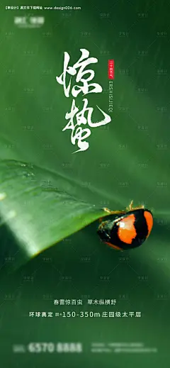 惊蛰春天虫子绿芽海报--享设计