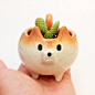 Small planter of Shiba Inu shape  with glaze  ceramic shibainu : This item will be shipped by standard shipping. The parcel will be arrived at your address in about 1 week to 2 weeks. Please let me know if you would like to receive the parcel fast. In tha