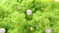 01a15d5a24e471a80120ba38d0b828.jpg@1280w_1l_2o_100sh