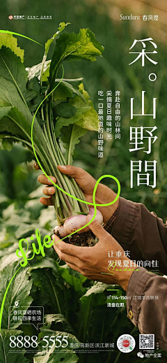章鱼ttttt采集到文旅