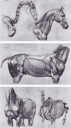 领悟CG采集到生物