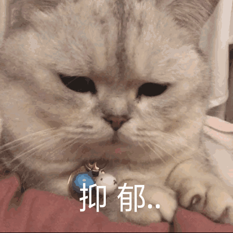 @大佬mmm
表情包