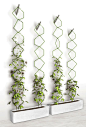 Frédéric Malphettes Trellis Vertical Garden: 