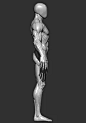 766a47b6dade5e0ca652c310467c13d05b81f0effa44-KxQ8W6_fw240webp