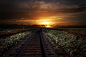 General 2200x1466 sunset railway clouds field