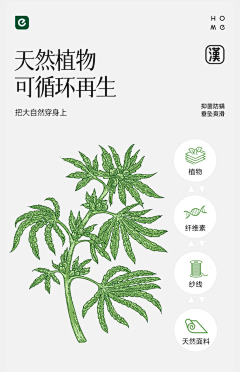 天行者西泡泡采集到艾草