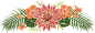 Floral illustration Charlotte Day, Dahlia, Fern, Nasturtium 