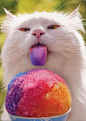 taste the rainbow