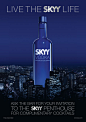 SKYY Vodka深蓝伏特加