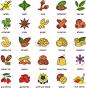 spices color icons set