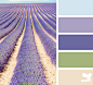 Design Seeds®: For All Who Love Color