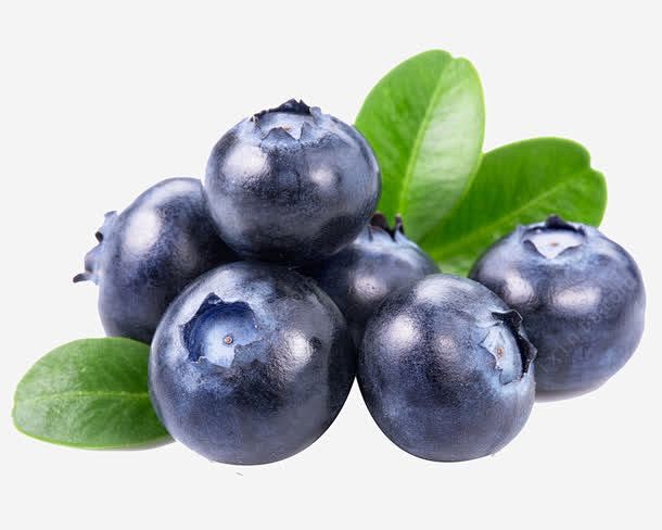 美味的蓝莓啊高清素材 水果 绿色 美味 ...