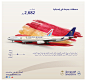 Several Airline Ads, TVCs & Social Media Films : airline