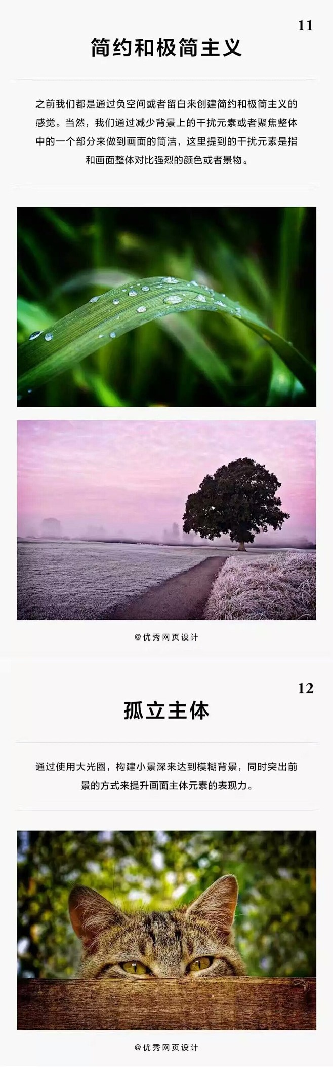摄影-6