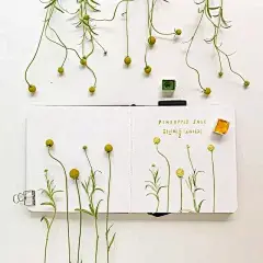 韩国治愈系水彩，治愈你的心！ : Yirang Kim来自韩国画家的水彩系列作品/她的画风非常小清新、文艺、治愈系感觉少女心爆棚非常的温暖、阳光、向上///她画水彩花卉的小视频▼/她平时画的一些小植物手绘和一些小家居、食物从她画面的风...