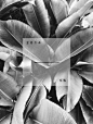The Role Of Textures in Contemporary Graphic Design – Design School