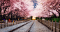 spring blossom station by Aaron Choi on 500px