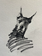 画狗，不就是排线吗 - 小红书