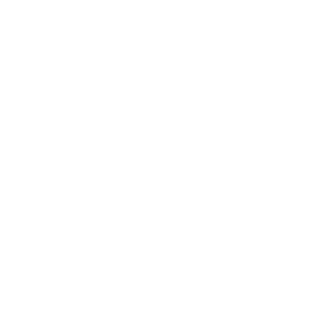 雪花 (1)