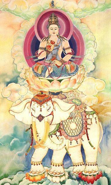 普贤菩萨