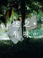 述之有味的微博_微博