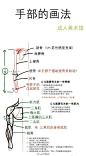 【绘画教材】简单易懂的人体结构和姿势的教材，适合初学者学习~推荐给大家~~