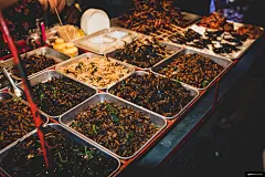 食品 亚洲 考山路 昆虫 街头购物车 街头食品 美食摄影图片图片壁纸