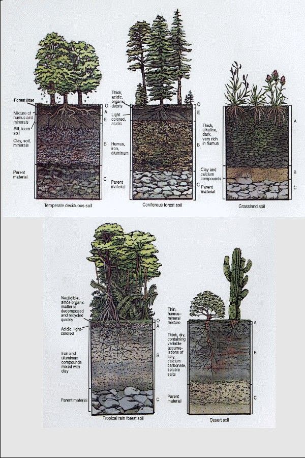 Soil profiles - help...